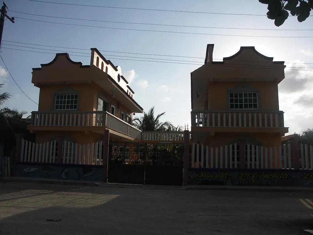 Posada La Conchita Punta Allen Inn